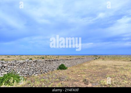 Spain, Balearic Islands, Menorca: typical dry stone wall in the Menorcan countryside Stock Photo