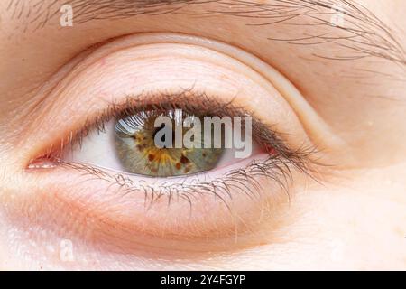 Macro close-up of a woman's green eye staring intently, showcasing its intricate details Stock Photo