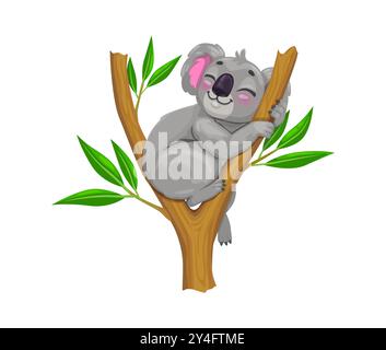 Cartoon cute koala bear character peacefully sleeping on the eucalyptus tree branch. Isolated vector tropical animal with fluffy gray fur, embodying adorable charm and relaxed Australian vibes Stock Vector