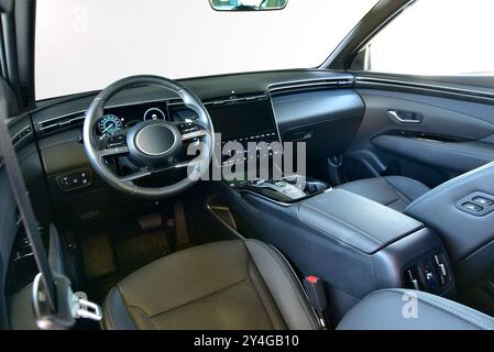 A board with instruments of a luxury passenger car. Dashboard of a modern car. Stock Photo