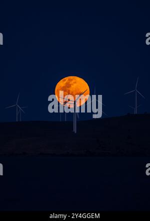 Canberra, Australia. 18th Sep, 2024. A supermoon is seen in the sky, over Lake George in New South Wales, Australia, Sept. 18, 2024. Credit: Chu Chen/Xinhua/Alamy Live News Stock Photo