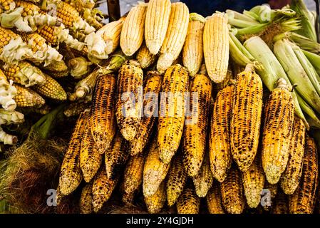 Grilled Corn Street Food Istanbul Turkey | ISTANBUL, Turkey — Charred and fresh ears of corn sit side by side at a street vendor's stall, a snack Istanbul locals call "mısır." Vendors typically grill the corn over charcoal and season it with salt to order, a tradition that has drawn customers on Istanbul's streets for generations, especially in the warmer months. Stock Photo