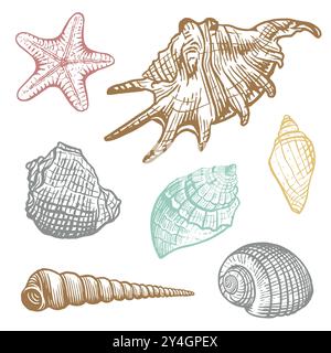 Sea shells colorful vector set Stock Vector