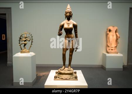 WASHINGTON DC, United States — A bronze statue of Queen Sembiyan Mahadevi depicted as the Goddess Parvati, dating from around 990 CE, on display at the Freer Gallery of Art in Washington DC. This exquisite Chola Dynasty sculpture from India exemplifies the sophisticated bronze casting techniques and intricate iconography of South Indian Hindu art. Stock Photo