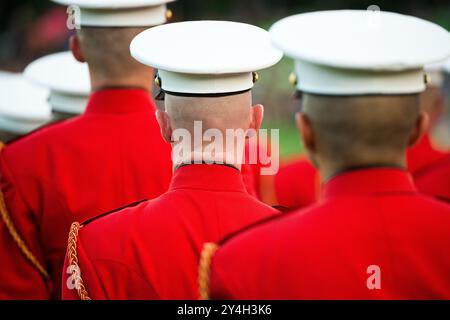 ARLINGTON, Virginia, United States — The United States Marine Drum and Bugle Corps, known as 'The Commandant's Own,' performs during the Sunset Parade at the Marine Corps War Memorial (Iwo Jima Memorial) in Arlington, Virginia. This stirring patriotic event, held adjacent to Arlington National Cemetery, showcases the precision and musical talent of the Marine Corps against the backdrop of one of America's most iconic war memorials. Stock Photo