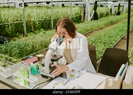 Researcher conducting experiments in laboratory within greenhouse, using microscope for close examination of plant samples. Various laboratory equipme Stock Photo