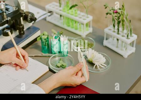 Scientist examining different botanical samples with microscope and test tubes. Noting observations while arranging plants and flowers in various labo Stock Photo