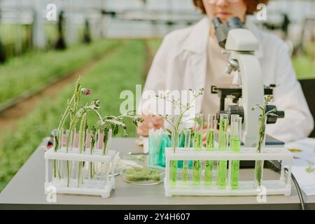 Conducting Research in Modern Agricultural Laboratory Stock Photo