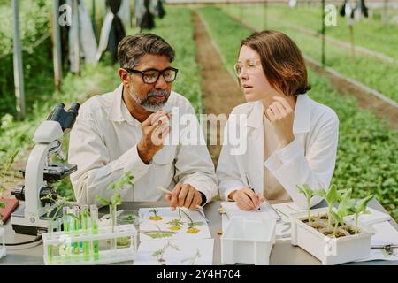 Scientists analyzing plant specimens in a laboratory setting with modern equipment, including microscope and test tubes, observing details and noting Stock Photo