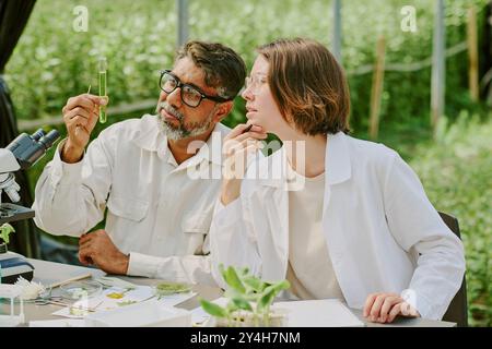 Examining Plant Samples Outdoors in Laboratory Setting Stock Photo