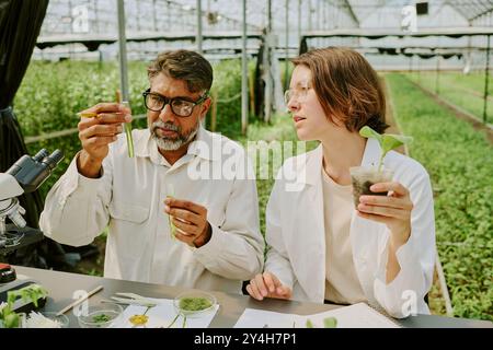 Examining Plants in Scientific Laboratory Setting Stock Photo