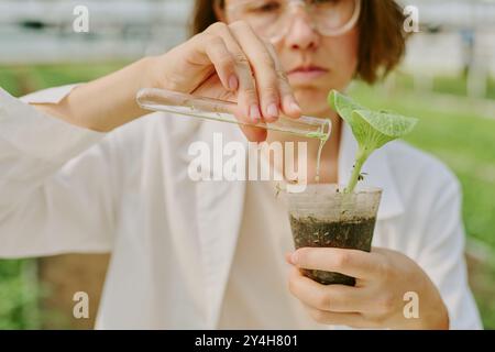 Conducting Research in Greenhouse Environment Stock Photo