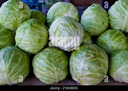 Uzbekistan, Samarkand, Siyob bazaar, cabbage Stock Photo