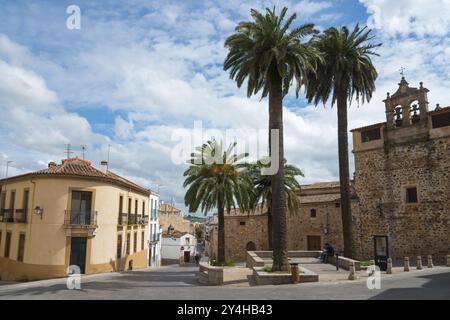 Historic old town with bell tower, palm trees and cobblestones, under a partly cloudy sky on a sunny day, Convento de Santa Clara, nunnery, old town, Stock Photo
