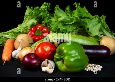 A vibrant assortment of fresh organic vegetables, including lettuce, tomato, pepper, garlic, and zucchini, displayed on a black background, symbolizin Stock Photo