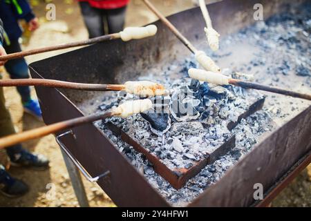 Children roasting twist bread on sticks over a camp fire during a picnic in the forest Stock Photo