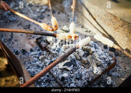 Children roasting twist bread on sticks over a camp fire during a picnic in the forest Stock Photo