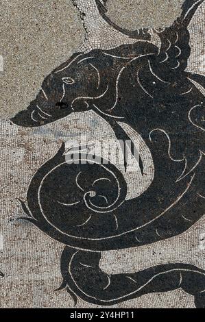 Sea monster. Detail of Amphitrite mosaic in the Terme di Nettuno (Baths of Neptune) at Ostia Antica, Italy. Stock Photo