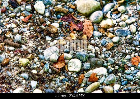 Close-up of pebbles in different sizes, colors and structures with wood and sand Stock Photo