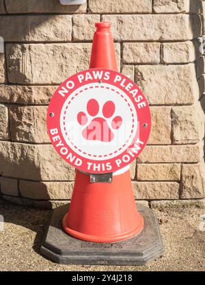 Humorous no dogs sign No Paws Please Stock Photo