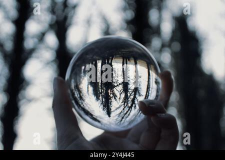 Woodland Lens Ball Stock Photo