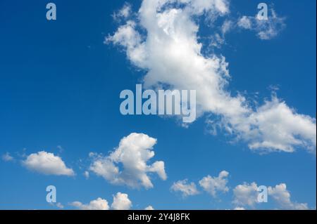 white cumulus clouds ruffled by the strong wind in the blue sky Stock Photo