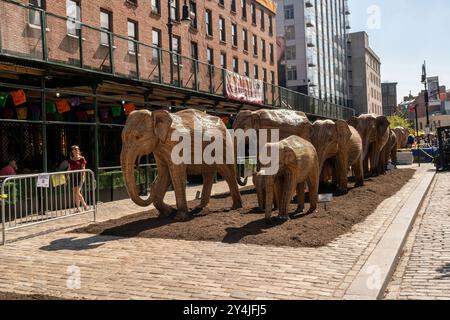 People are awed by the Great Elephant Migration public art installation in the Meatpacking District in New York on Thursday, September 5, 2024. The 100 statues were created by the Coexistence Collective whose mission helps people share space with natures magnificent creatures.The elephants were constructed by Indian indigenous artisans out of the Lantana camara, an invasive plant species. The installation will be on display until October 20. (© Richard B. Levine) Stock Photo