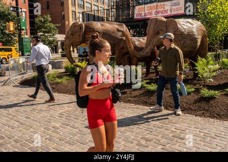 People are awed by the Great Elephant Migration public art installation in the Meatpacking District in New York on Thursday, September 5, 2024. The 100 statues were created by the Coexistence Collective whose mission helps people share space with natures magnificent creatures.The elephants were constructed by Indian indigenous artisans out of the Lantana camara, an invasive plant species. The installation will be on display until October 20. (©ÊRichard B. Levine) Stock Photo