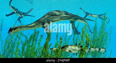 Atopodentatus was a herbivorous semi-aquatic marine reptile that lived in Triassic Seas of China. Stock Photo