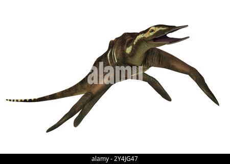 Atopodentatus was a herbivorous semi-aquatic marine reptile that lived in Triassic Seas of China. Stock Photo