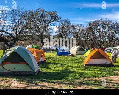 A vibrant campsite with multiple tents set up on a grassy field under a clear blue sky with trees in the background. Stock Photo