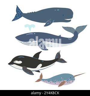 Set of cute hand-drawn whales, blue whale, sperm whale, orca and narwhal. Vector illustration. Stock Vector