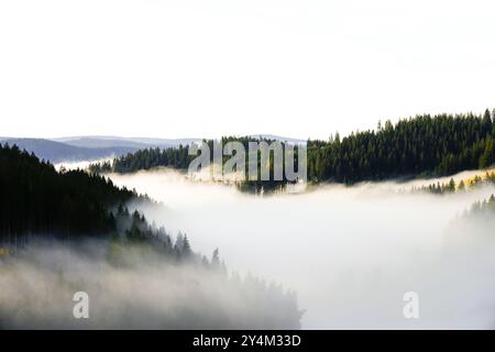 Autumnal landscape in the Black Forest. Nature in the morning with low lying clouds in the valley. Stock Photo