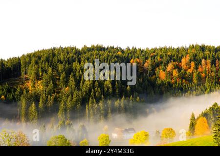Autumnal landscape in the Black Forest. Nature in the morning with low lying clouds in the valley. Stock Photo