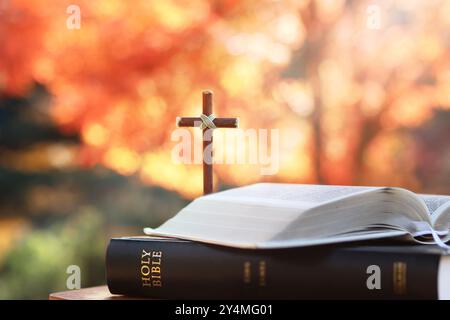 Holy Cross of Jesus Christ and Bible, Autumn landscape with light shining through red maple leaves and Thanksgiving background Stock Photo