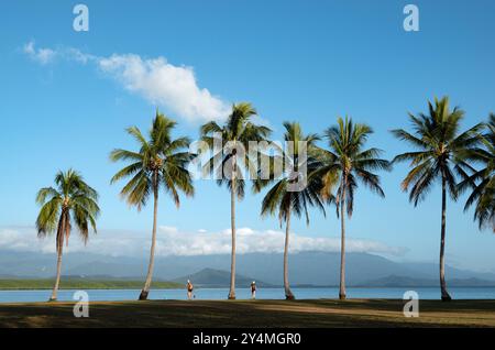 Port Douglas, Queensland, Australia.  Rex Smeal Park in Tropical holiday destination Port Douglas in North Queensland. Stock Photo