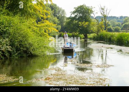 People punting on the River Avon in Queen Elizabeth Gardens, Salisbury , Wiltshire, England Stock Photo