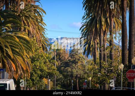 Scenic view of famous Hollywood sign in Los Angeles, California, USA through palm trees against blue sky Stock Photo