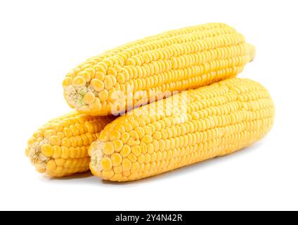 Three fresh ripe corncobs isolated on white Stock Photo