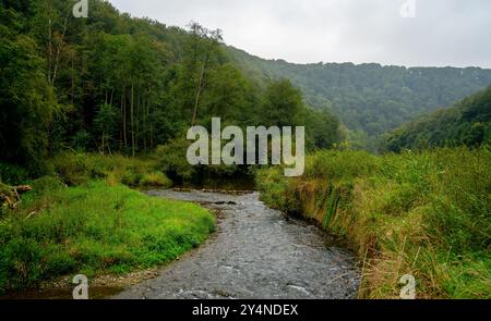 Hermeton river, tributary of Meuse in the lower Ardennes, Belgium Stock Photo