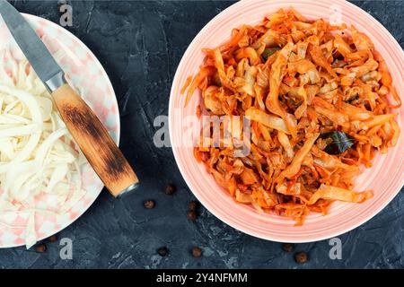 Appetizing stewed cabbage on a plate. Traditional homemade sauerkraut stew on stone background. Stock Photo