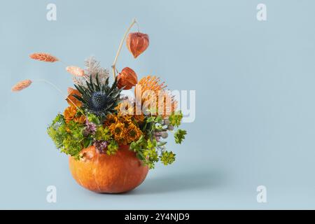 Autumn creative bouquet with different orange and yellow flowers in pumpkin as vase on blue background for Thanksgiving Day. DIY. Copy space. Beautifu Stock Photo