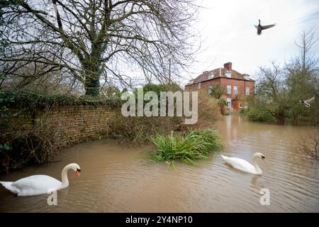 A house near Upton-upon-Severn, Gloucestershire surrounded by floodwater. Stock Photo