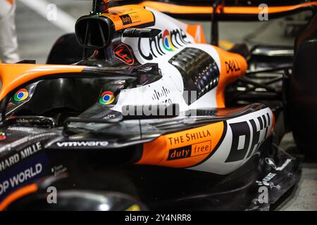 mclaren-f1-team-special-livery