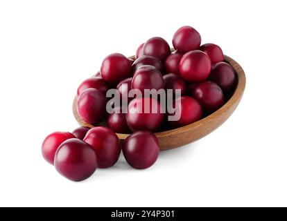 Fresh ripe plums in bowl isolated on white Stock Photo