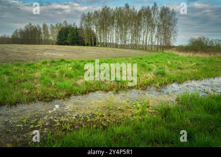 Irrigation canal in front of rural field and trees on the horizon, eastern Poland Stock Photo