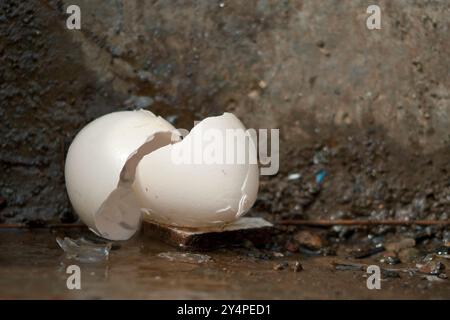 Koliwada, Maharashtra / India - October 05, 2006 : The view of the broken egg on the village street. Stock Photo