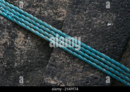 Koliwada, Maharashtra / India - October 05, 2006 : A close-up view of the strings against the black textured background. Stock Photo