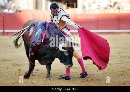 Seville, Spain Aug 15 2006, Uceda Leal engages with a bull at the Real Maestranza bullring in Seville during an intense bullfight on August 15, 2006. Stock Photo