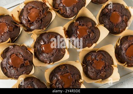 Trendy Homemade Chocolate Breakfast Muffins Ready to Eat Stock Photo